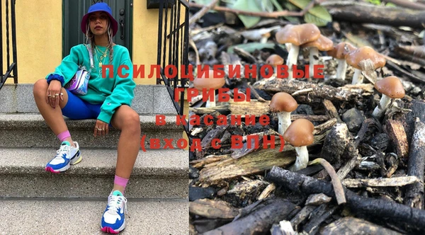амфетамин Белокуриха