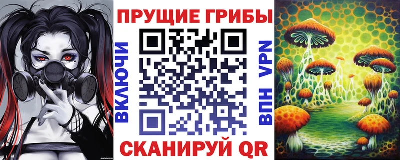 Псилоцибиновые грибы GOLDEN TEACHER  наркота  Сердобск 