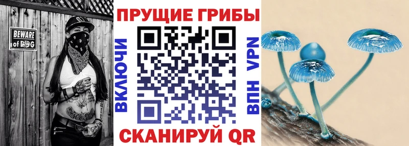 Галлюциногенные грибы Cubensis Сердобск